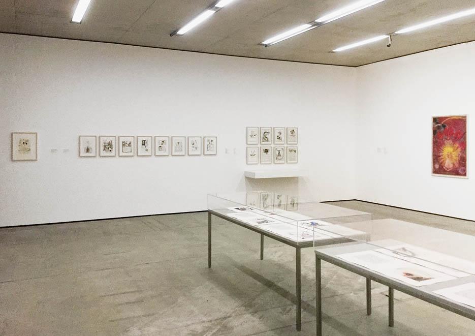 Ausstellungsansicht Museum der Moderne Salzburg